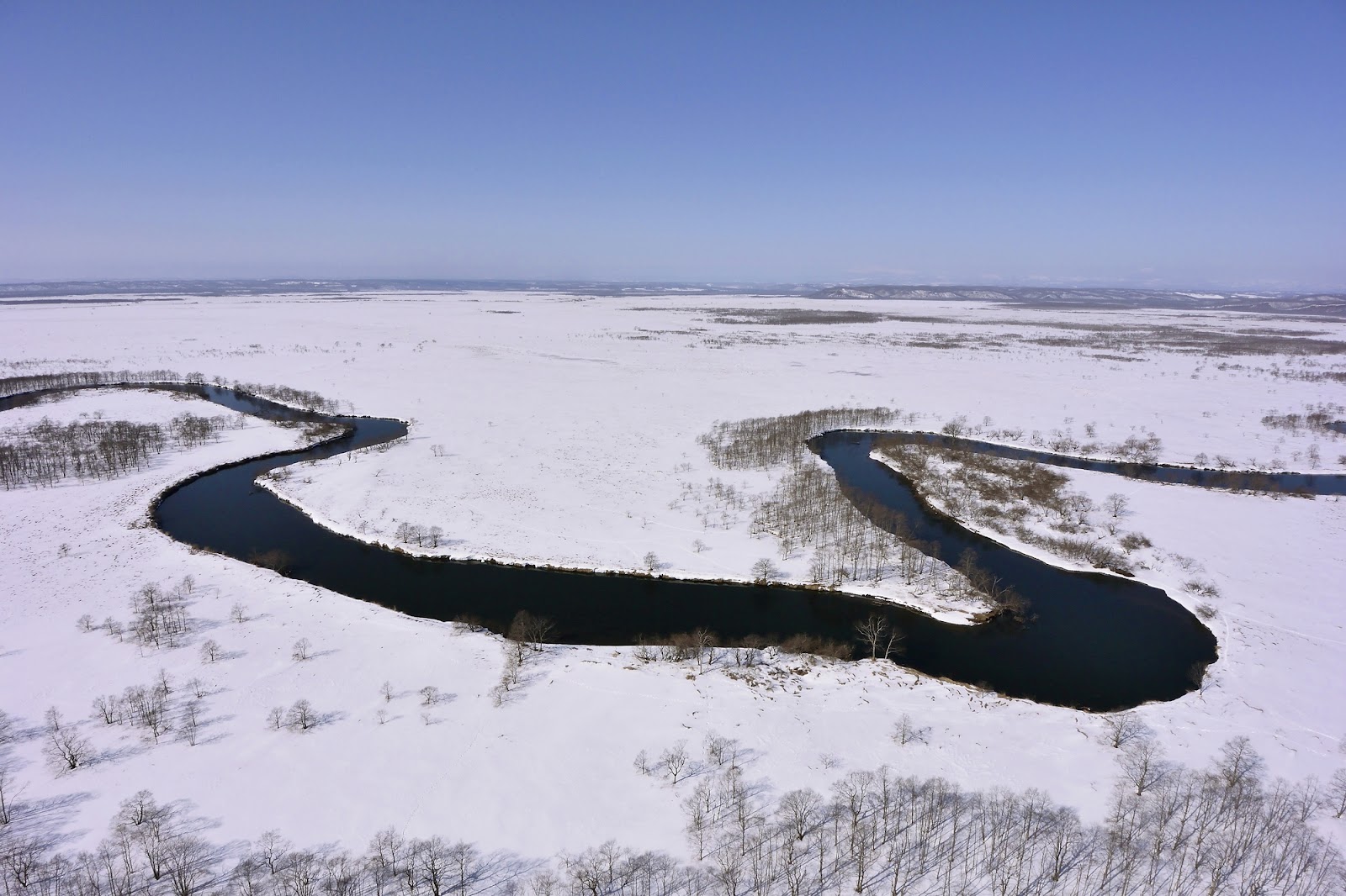 4、【釧路｜鶴居村】冬の湿原を歩いてみよう「釧路湿原国立公園」