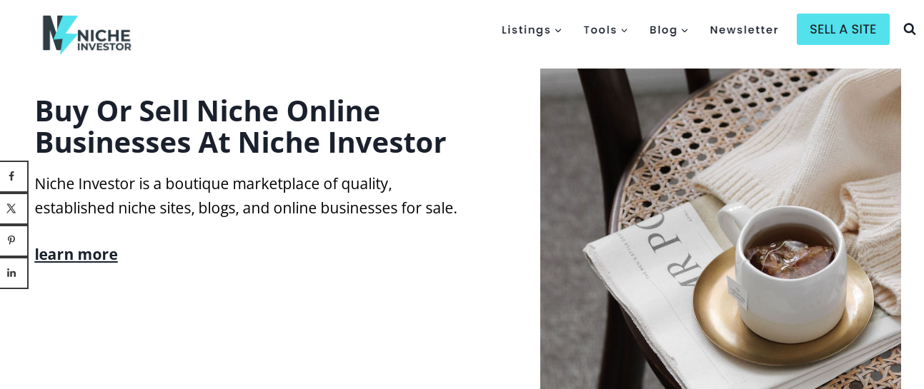 Home Page of Niche Investor to Buy an Online Business
