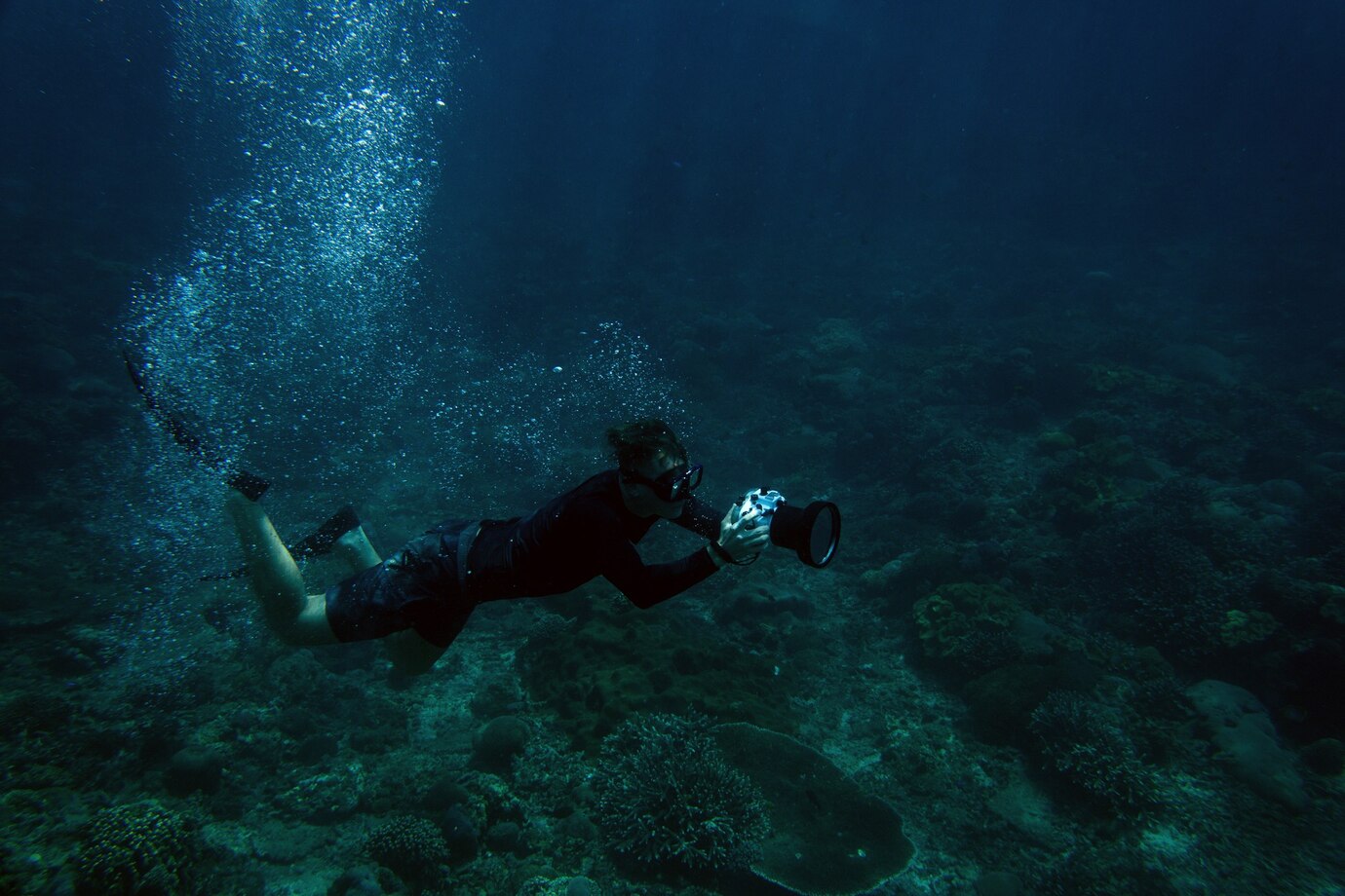 Underwater macro photography in Anilao, Batangas.