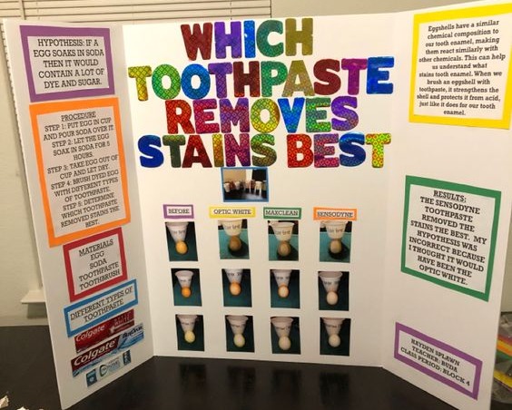 Ultimate Guide for A+ Science Fair Project: Science Fair Board Layout Ideas  & Examples