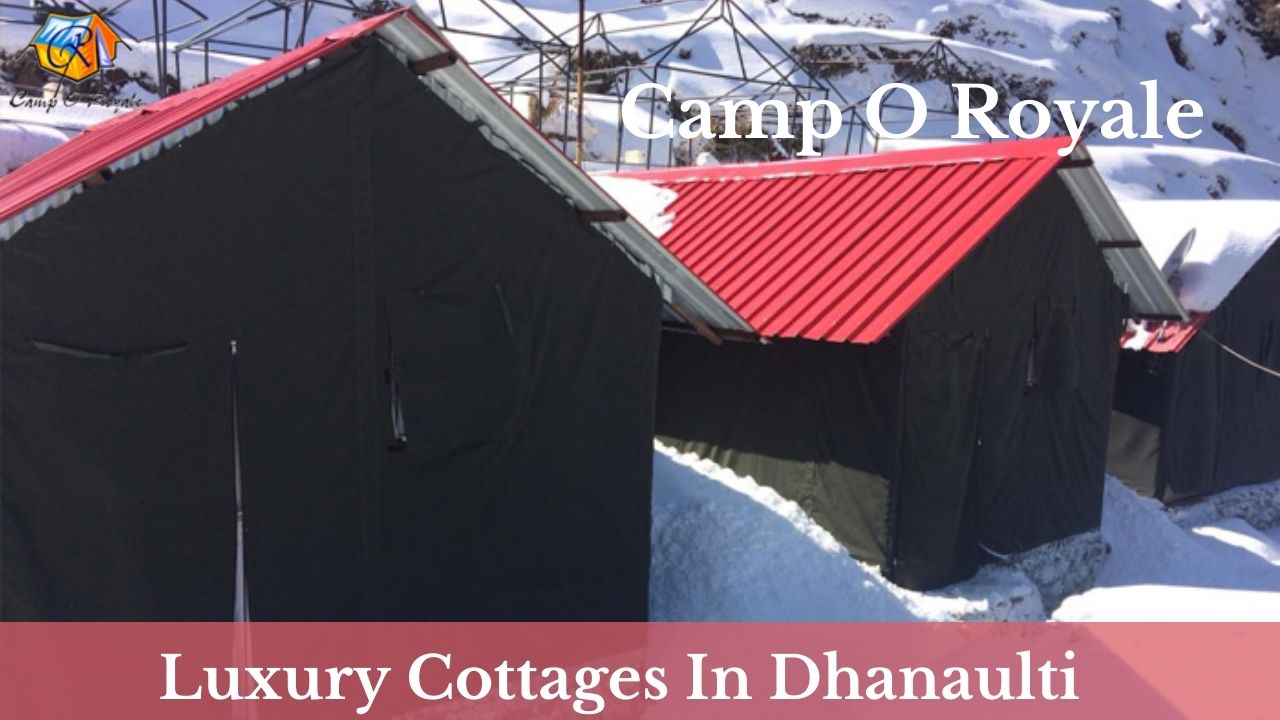 Luxury Stay & Adventure Camps 