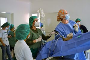 The research crew during the insemination procedure