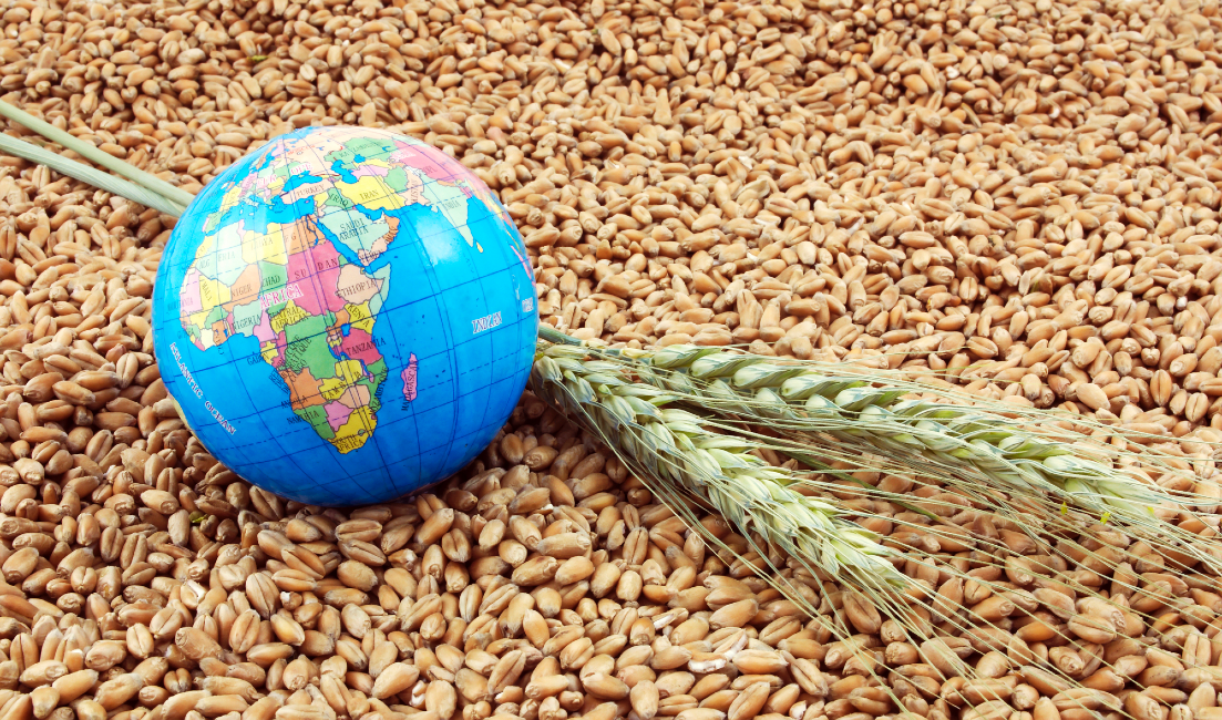 Global Food Security