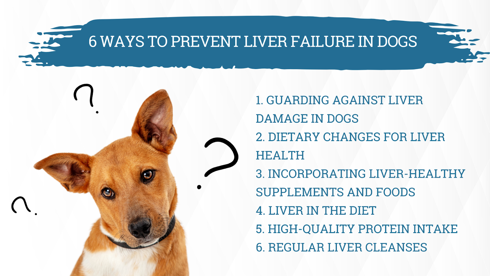Prevent liver failure in dogs