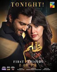 Top 13 HUM TV Dramas 2023