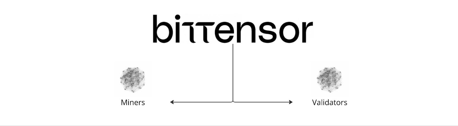 There are two kinds of nodes within the Bittensor Network