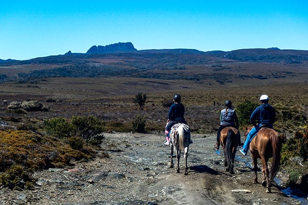 Horse Riding Tasmania in 3 beautiful locations - Cradle Country Adventures