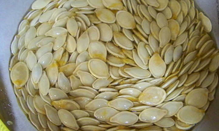Should pumpkin seeds be soaked before planting