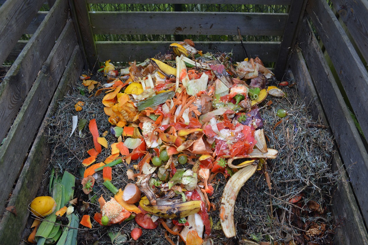 Free Green Waste Compost photo and picture