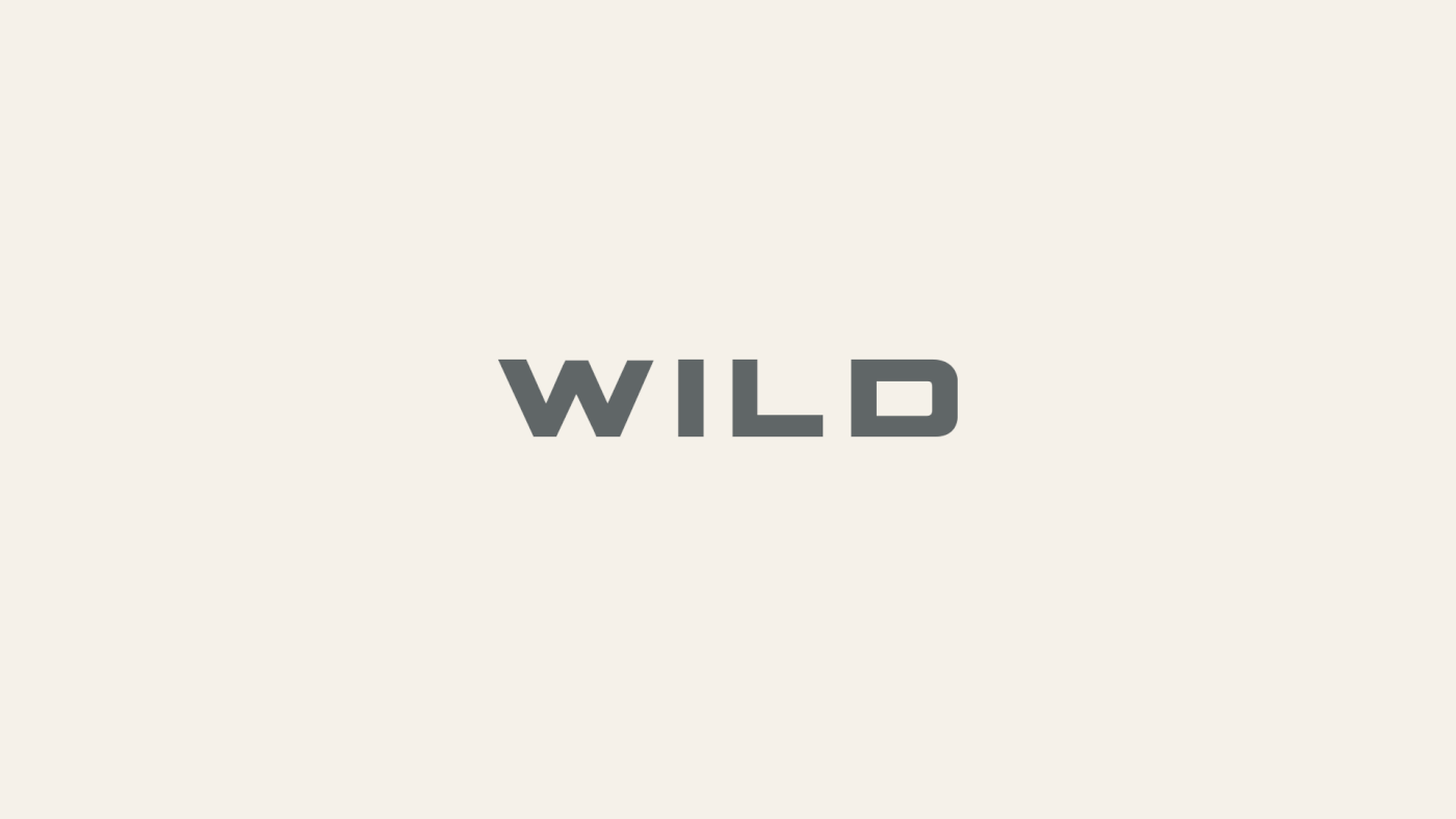 Branding artifact Logo animation old to new for WILD