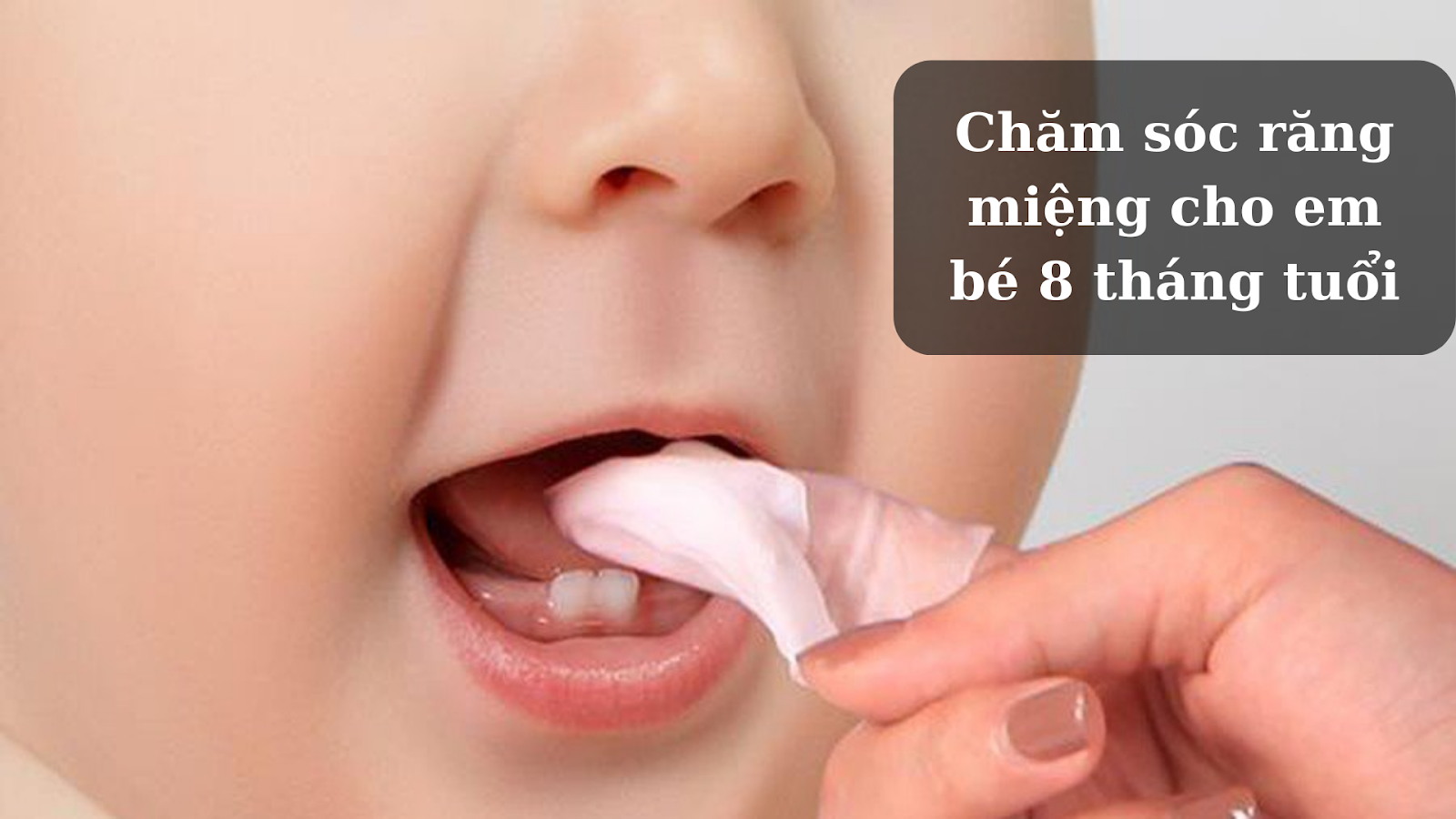 Chăm sóc răng miệng cho em bé 8 tháng tuổi