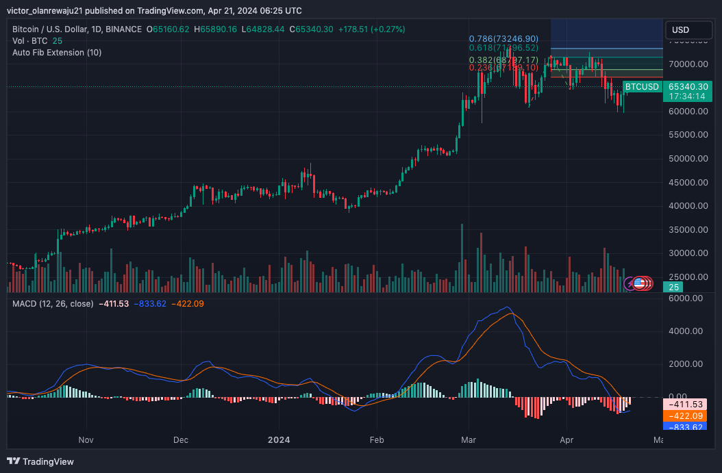BTC/USD Tages-Chart (Quelle: TradingView)