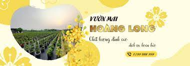 Chợ Gạo: đa dạng dân cày ổn định cuộc sống trong khoảng nghề buôn bán phôi mai vàng