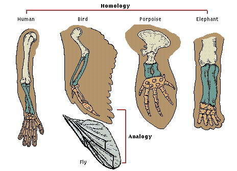 T010228A