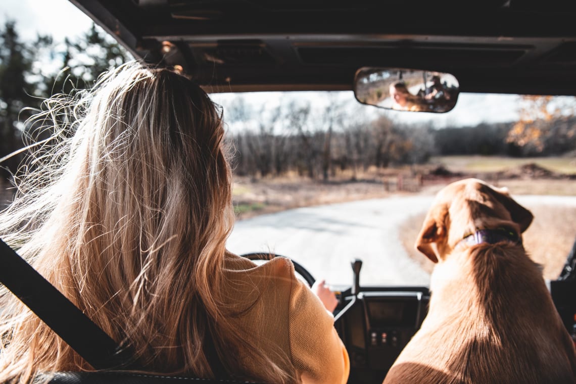 Discover The Unknown Road Trips