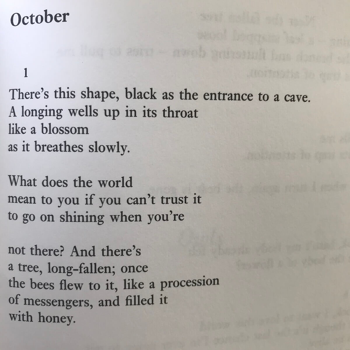 mary oliver october gaelle chassery.jpg
