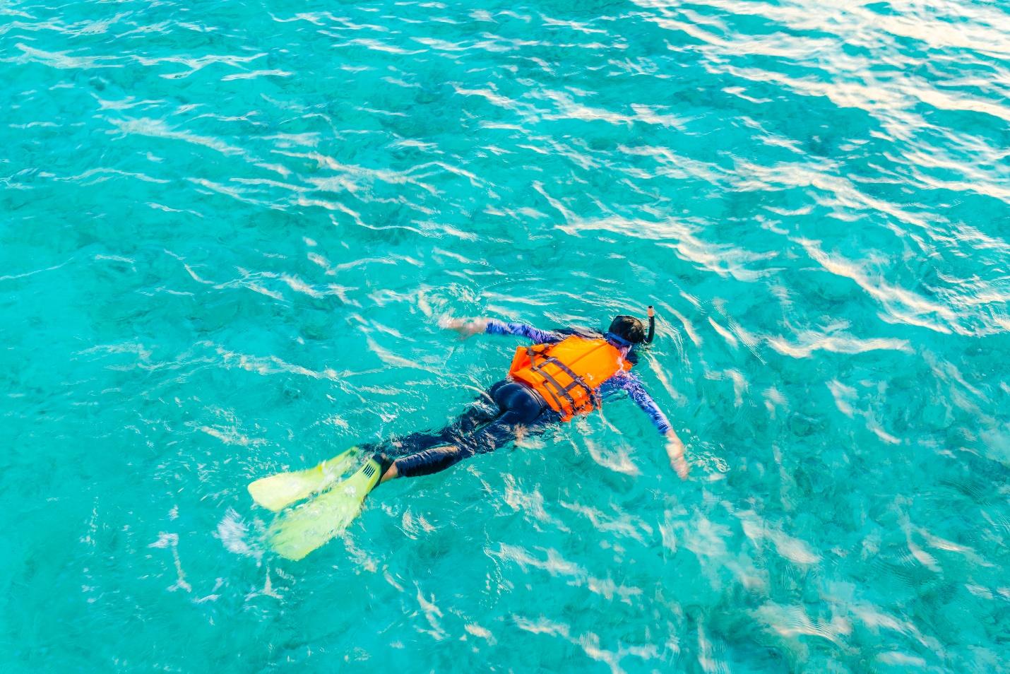 Snorkelling Tours: A Front-Row Seat to Witness Nature's Finest Creations 1