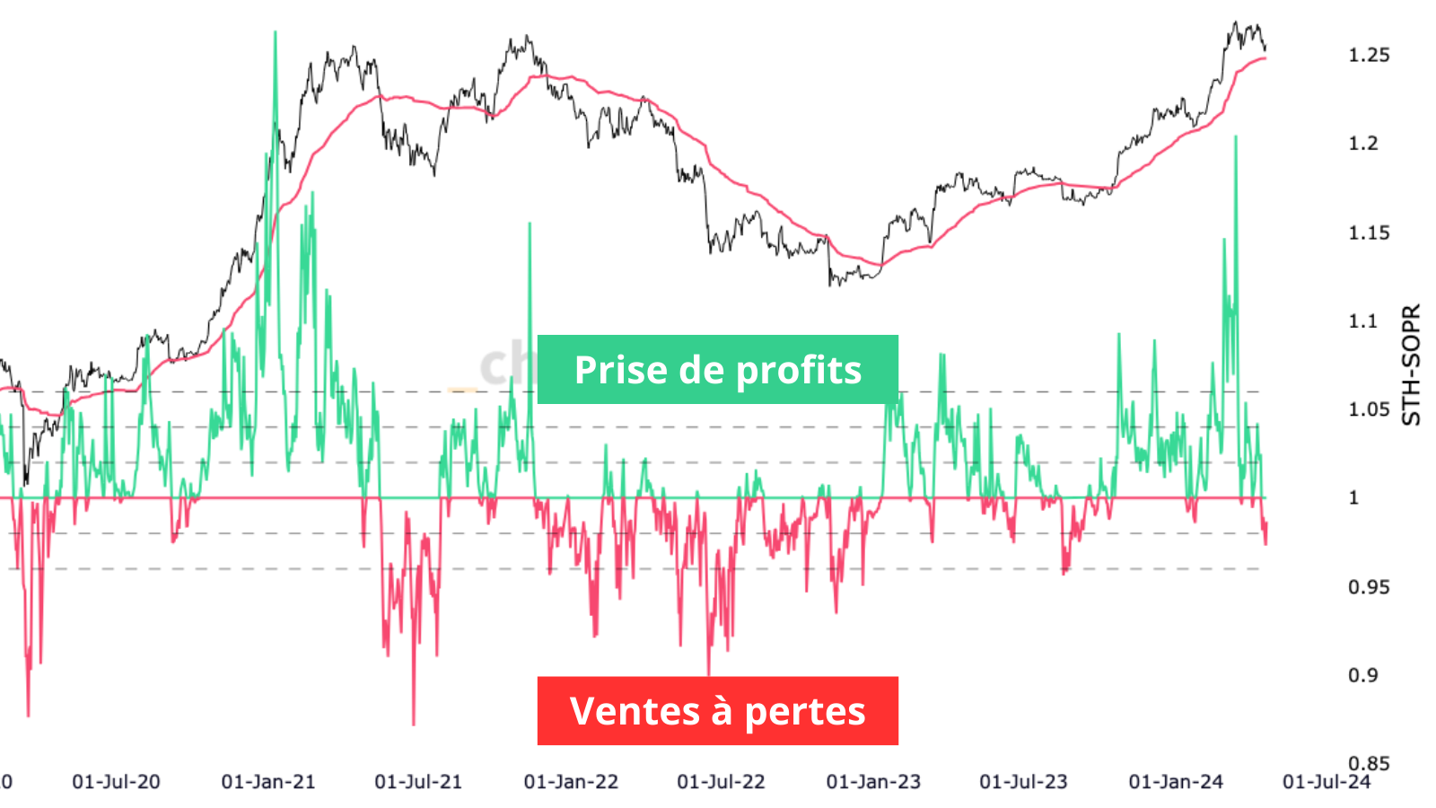 L'image représente le graphique du SOPR : Celui-ci montre les prises de profits des investisseurs ou des pertes subies lorsque ces derniers vendent leurs coins.