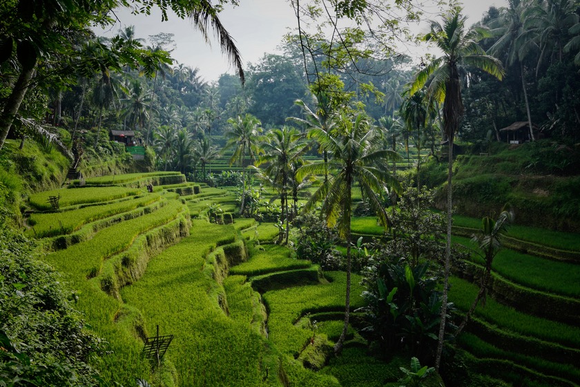 Experience The Thrills Of Nature