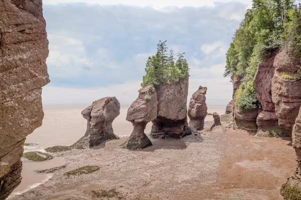 La plage mythique de Hopewell Rocks