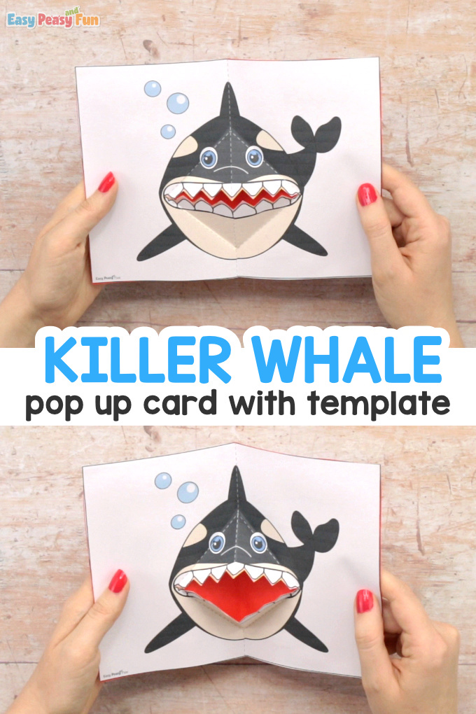 Killer Whale Pop Up Card Template Craft Idea for Kids