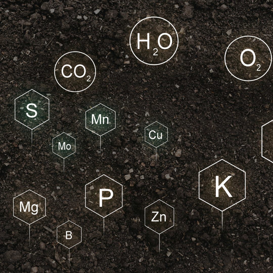 chemical symbols for cannabis nutrients
