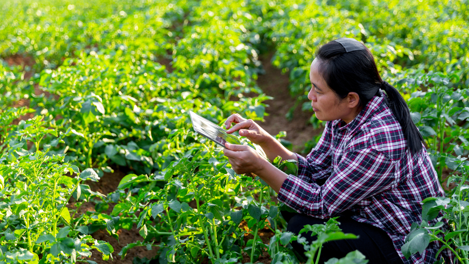 Revolutionizing Agriculture