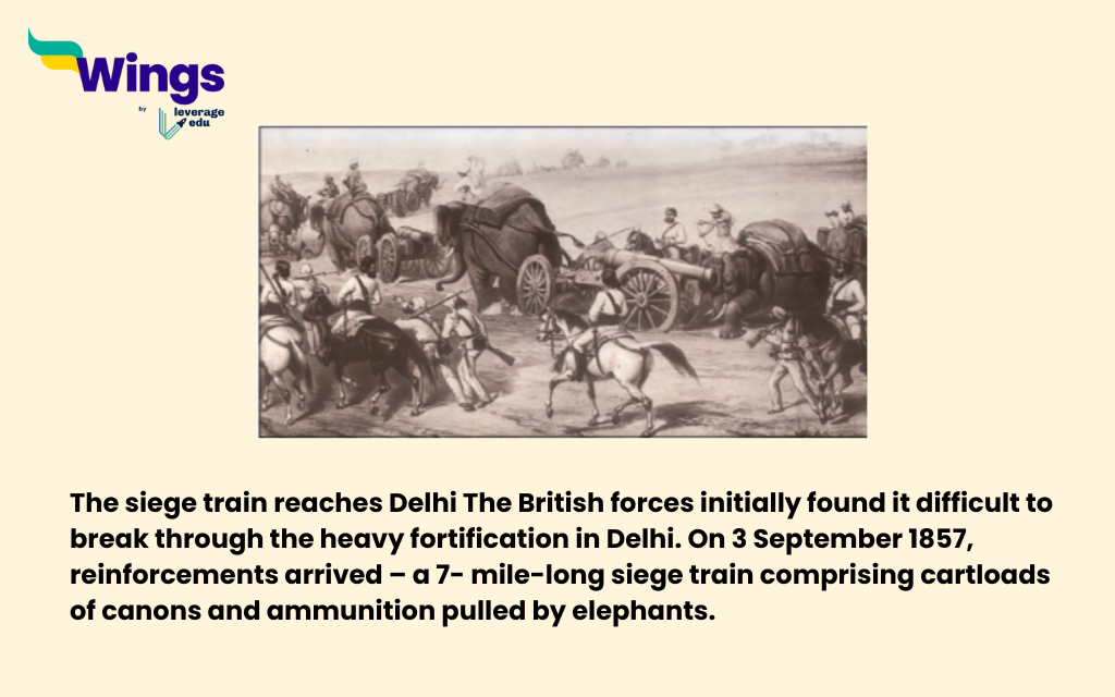 NCERT Class 8 History Chapter 5 ¨When People Rebel 1857 and After¨ (Free PDF)
