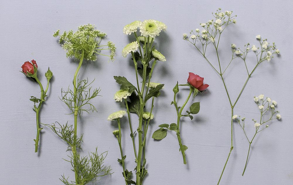 A selection of detail flowers laid out 
