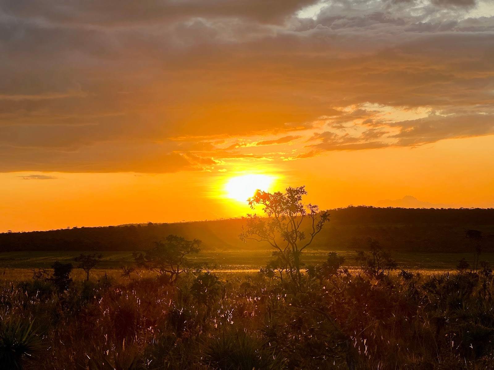 Pôr do sol na Chapada dos Veadeiros, com a paisagem de cerrado com uma colina ao fundo