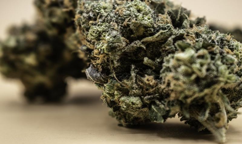 Obama Runtz Strain Review & Information