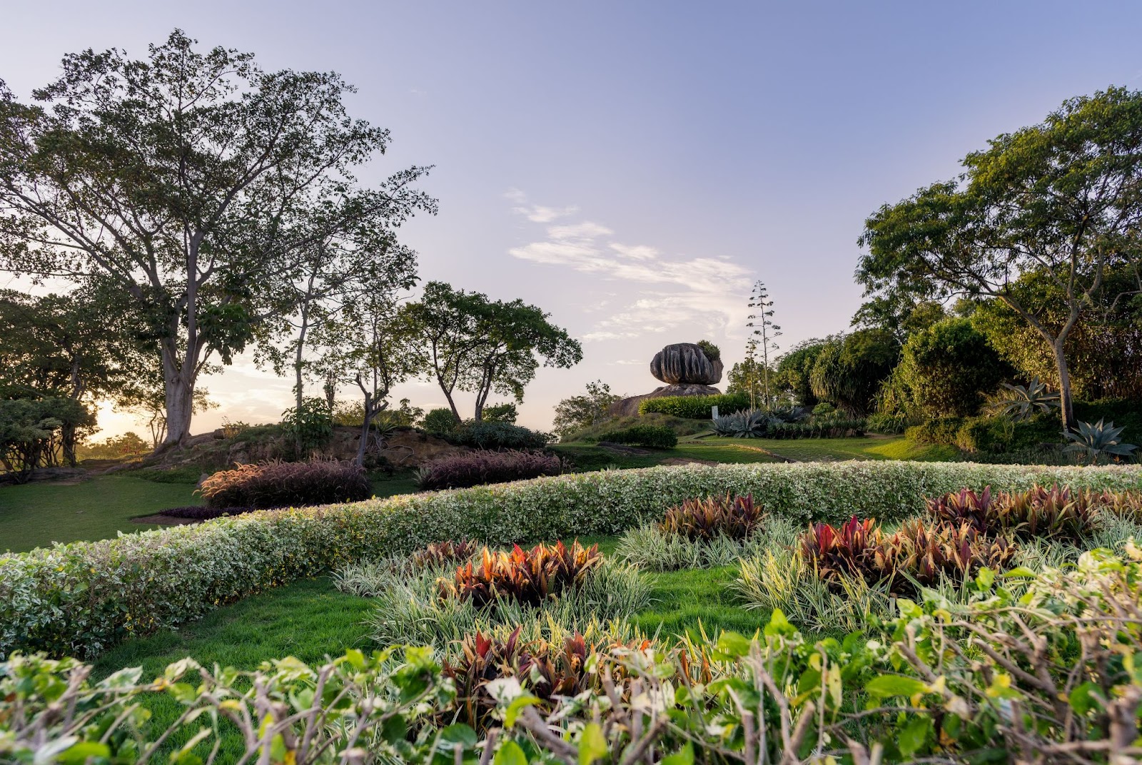 Jardim colorido do Parque da Pedra da Cebola com a pedra se destacando no horizonte, ao lado de árvores com poucas folhas.