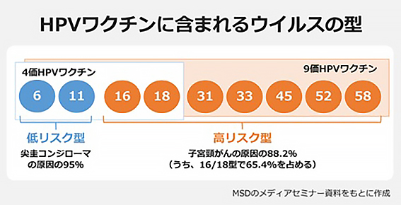 HPVワクチンに含まれるウイルスの型の図解