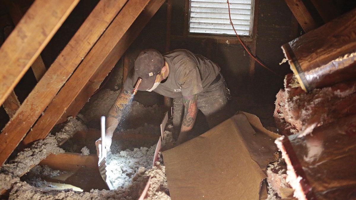 old insulation removal in Toronto