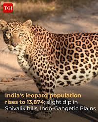 2022 Update on Indian Leopard Population