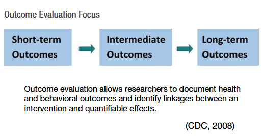Outcome Evaluation Focus. For a more in-depth description, see the appendix.