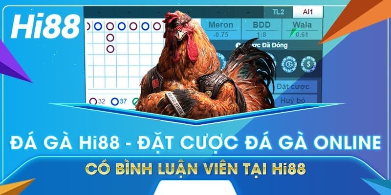 Đá gà Hi88 phát sóng những hình thức chọi kê