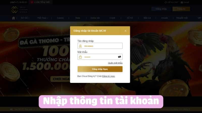 Nhập thông tin tài khoản