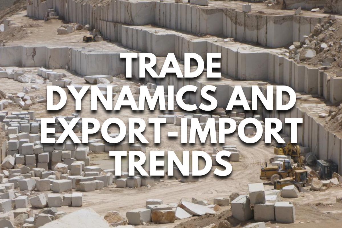 Trade Dynamics and Export-Import Trends