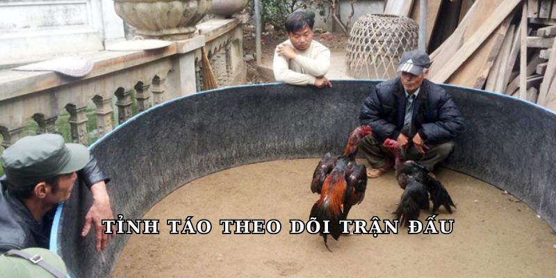 Tỉnh táo theo dõi trận đấu