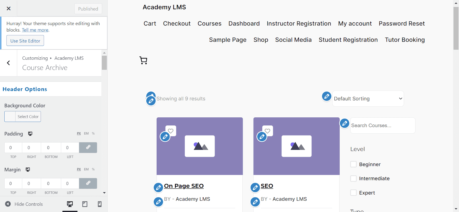 Customize academy LMS course Course Archive Style. 