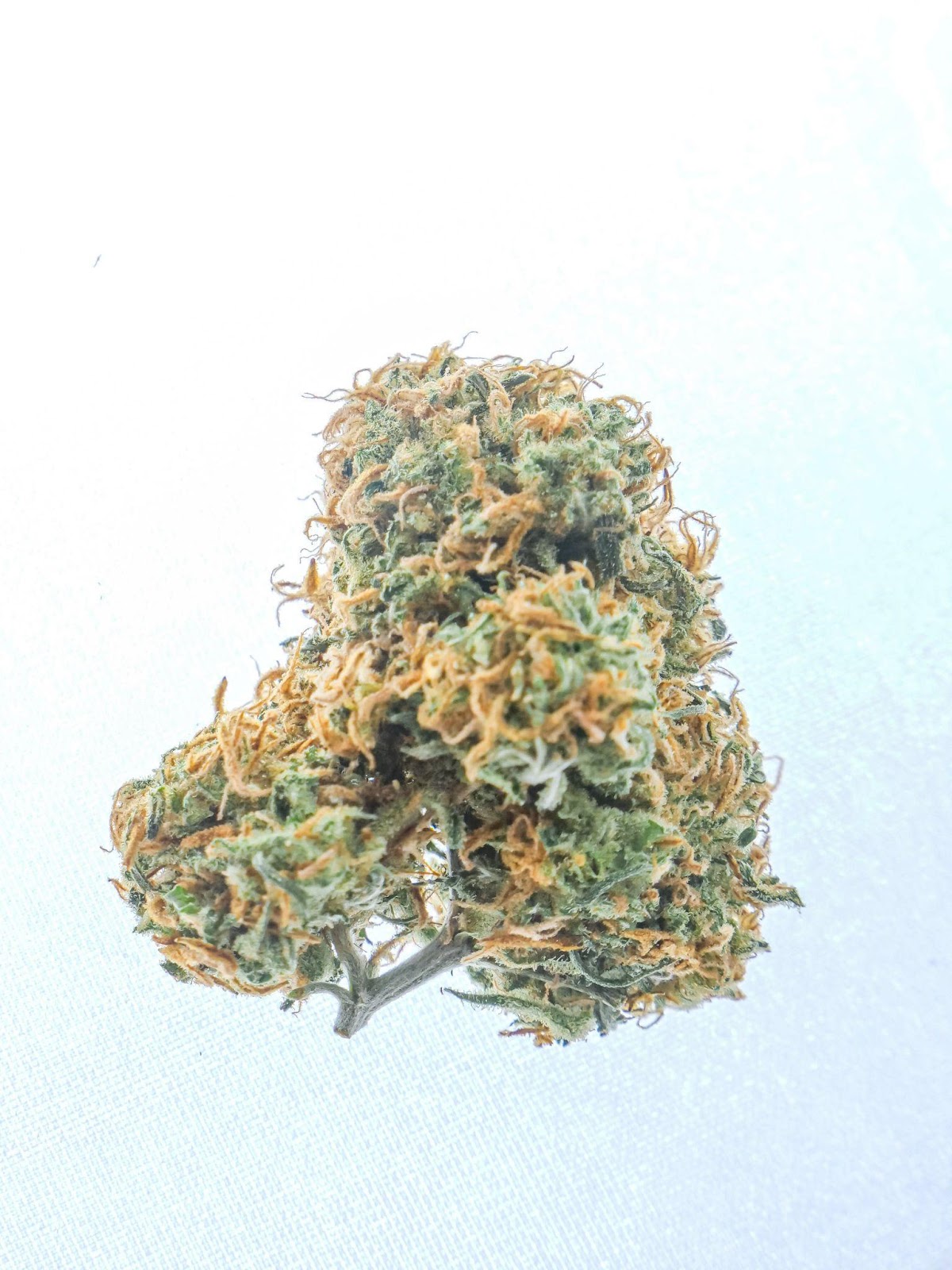 Redneck Wedding Strain Review and Information