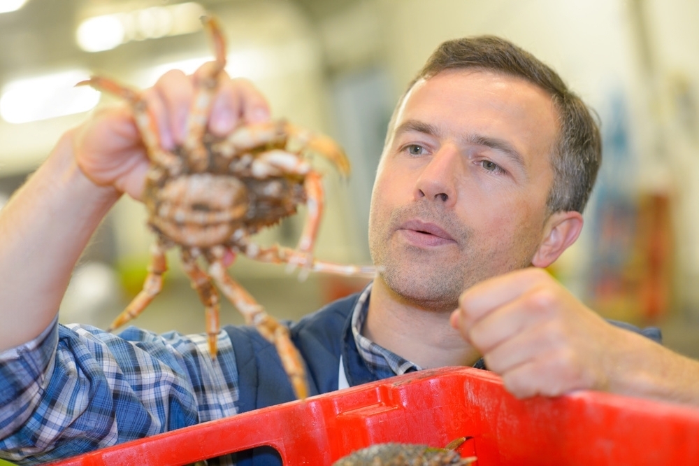 Crabbing on Vancouver Island with the whole family