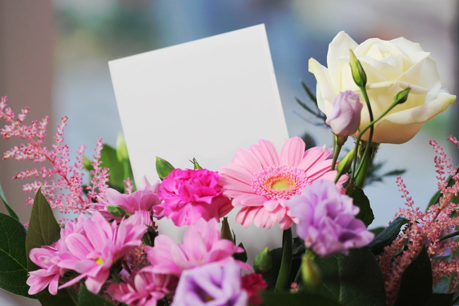 10 melhores tipos de flores para presentear