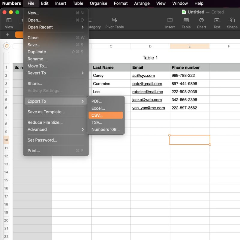 Exporting the file as CSV