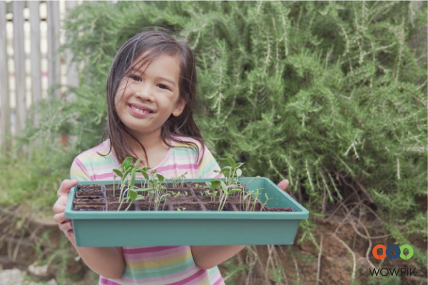 Bé thực hành với Montessori