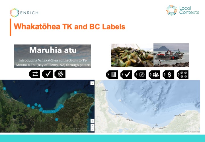 “Maruhia atu. Introducing Whakatōhea connections to Te-Moana-a-Toi (Bay of Plenty, NZ) through pātere.” Two photos: A pile of mollusks and a commercial fishing boat. 9 Label icons in a row: TK Attribution, TK Verified, TK Community Use Only, BC Provenance, BC Verified, BC Research Use, BC Open to Collaborate, BC Open to Commercialization, and BC Multiple Communities. Screenshot of two maps, one showing a coastline of the Bay of Plenty with blue dots and the second showing the same coastline topographically.