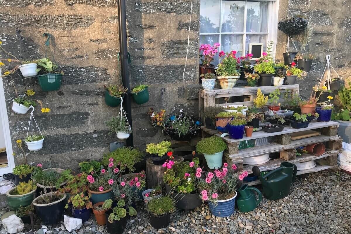 Welcome to my flower corner!