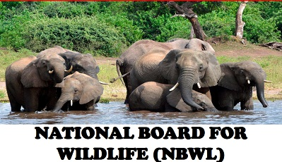 NATIONAL BOARD FOR WILDLIFE (NBWL)