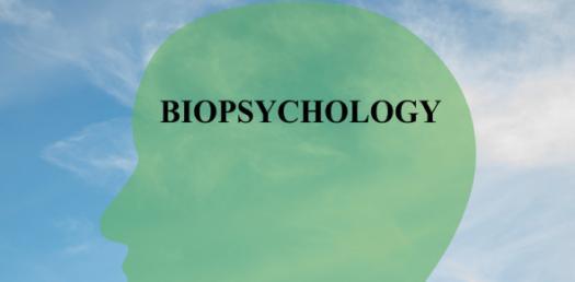 Biopsychology Test Bank